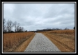 More of Tract 4 – Scenic Meadows