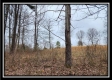 Tract 4 – Scenic Meadows property photo