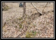 Tract 4 – Scenic Meadows property photo