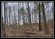 Tract 4 – Scenic Meadows property photo