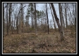 Tract 4 – Scenic Meadows property photo