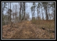 Tract 4 – Scenic Meadows property photo