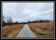 More of Tract 4 – Scenic Meadows
