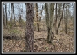 Tract 4 – Scenic Meadows property photo