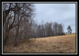 Tract 4 – Scenic Meadows property photo