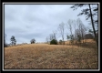 Tract 4 – Scenic Meadows property photo
