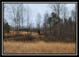 Tract 4 – Scenic Meadows property photo