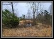 Tract 4 – Scenic Meadows property photo
