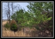 Tract 4 – Scenic Meadows property photo