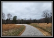 More of Tract 4 – Scenic Meadows