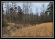 Tract 4 – Scenic Meadows property photo