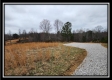 More of Tract 4 – Scenic Meadows