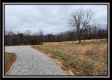 More of Tract 4 – Scenic Meadows