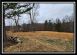 Tract 4 – Scenic Meadows property photo