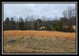 Tract 4 – Scenic Meadows property photo