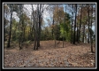 Tract 3 – Possum Trot property photo