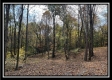 Tract 3 – Possum Trot property photo