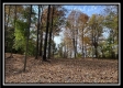 Tract 3 – Possum Trot property photo