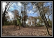 Tract 3 – Possum Trot property photo
