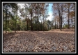 Tract 3 – Possum Trot property photo