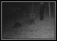Tract 3 – Possum Trot property photo