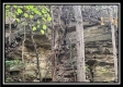 Tract 3 – Possum Trot property photo