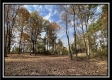 Tract 3 – Possum Trot property photo
