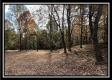 Tract 3 – Possum Trot property photo