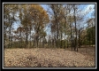 Tract 3 – Possum Trot property photo