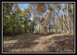 Tract 3 – Possum Trot property photo