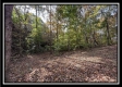 Tract 3 – Possum Trot property photo