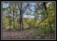 Tract 3 – Possum Trot property photo