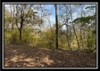 Tract 3 – Possum Trot property photo