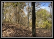 Tract 3 – Possum Trot property photo