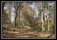 Tract 3 – Possum Trot property photo