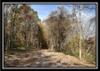 Tract 3 – Possum Trot property photo