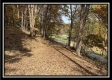 Tract 3 – Possum Trot property photo