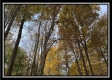 Tract 3 – Possum Trot property photo