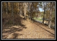 Tract 3 – Possum Trot property photo