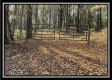 More of Tract 3 – Possum Trot