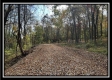 Tract 3 – Possum Trot property photo