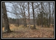 Tract 1 – Scenic Meadows property photo