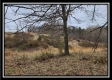 Tract 1 – Scenic Meadows property photo