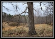 Tract 1 – Scenic Meadows property photo