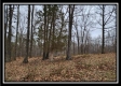 Tract 1 – Scenic Meadows property photo