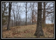 Tract 1 – Scenic Meadows property photo