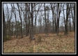 Tract 1 – Scenic Meadows property photo