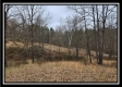 Tract 1 – Scenic Meadows property photo