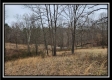 Tract 1 – Scenic Meadows property photo