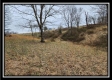 Tract 1 – Scenic Meadows property photo